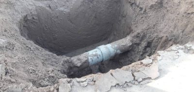 Más problemas con las raíces de los árboles