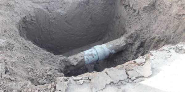 Más problemas con las raíces de los árboles