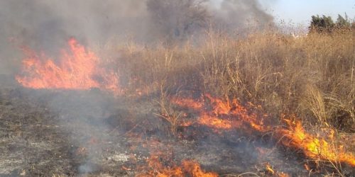 Tres incendios de pastizales producto del viento fuerte
