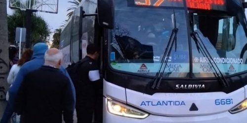 Menos servicios y tarifas más caras en los colectivos a CABA