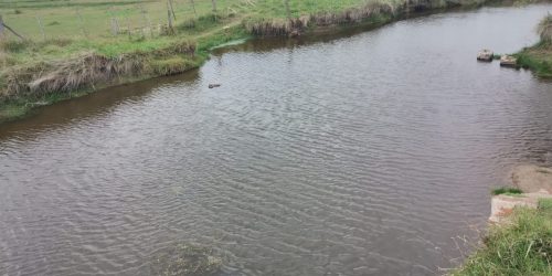 Aseguran que la presunta contaminación del Arroyito de Oro “es algo natural”