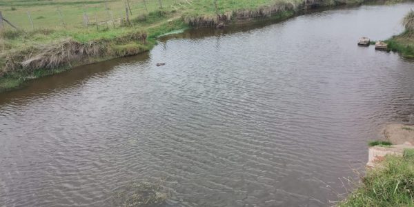 Aseguran que la presunta contaminación del Arroyito de Oro “es algo natural”