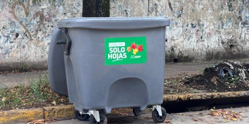 Consideran “exitosa” la experiencia con los contenedores de hojas secas