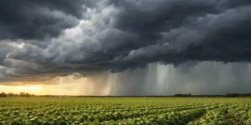 Advierten sobre lluvias intensas para este viernes