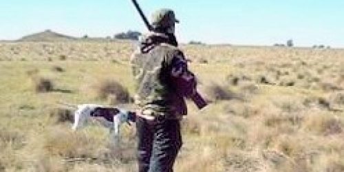 Buscan sancionar la intromisión de cazadores furtivos en los campos