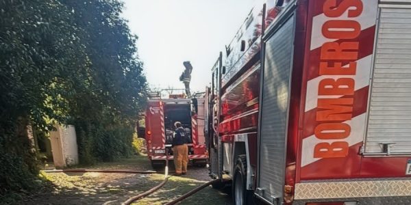 Se incendiaron un galpón y un quincho en 37 y 6