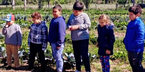 Cetim: nueve años de esmerada labor en favor de los niños con discapacidad