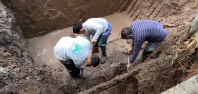 Otra vez un árbol causante de una pérdida de agua