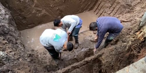 Otra vez un árbol causante de una pérdida de agua
