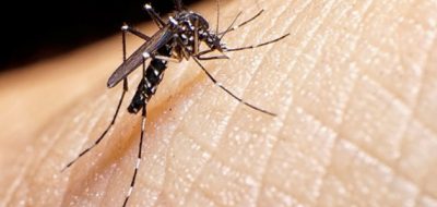Sube la temperatura y se lanza la campaña contra el dengue